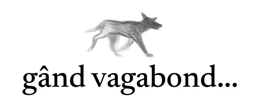gândvagabond...
